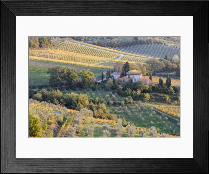 Framed Print : A stone house surrounded by vines and olive orchards in the autumn, Greve in Chianti Framed Print : A stone house surrounded by vines and olive orchards in the autumn, Greve in Chianti