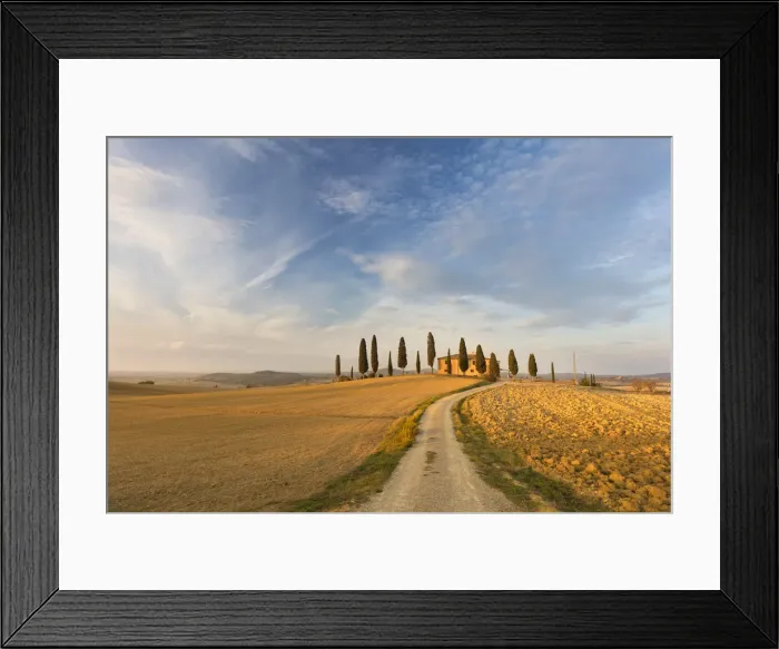 Framed Print : Traditional stone farmhouse surrounded by cypress trees and ploughed fields, Pienza Framed Print : Traditional stone farmhouse surrounded by cypress trees and ploughed fields, Pienza