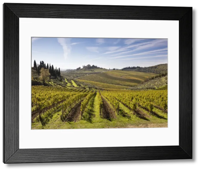 Framed Print : A stone house surrounded by vines in the autumn, Radda in Chianti, Chianti, Tuscany Framed Print : A stone house surrounded by vines in the autumn, Radda in Chianti, Chianti, Tuscany
