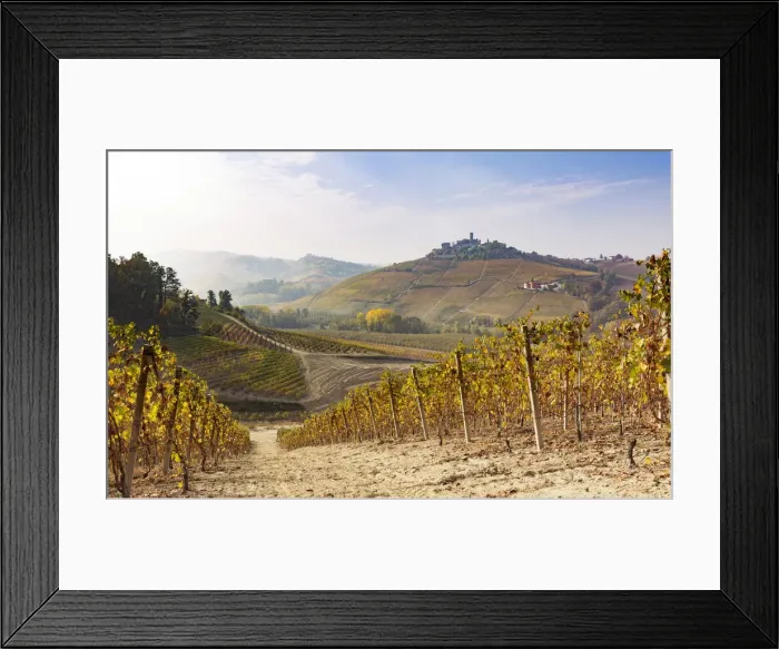 Framed Print : Serralunga d Alba, Langhe, Piedmont, Italy. Autumn landscape with vineyards and hills