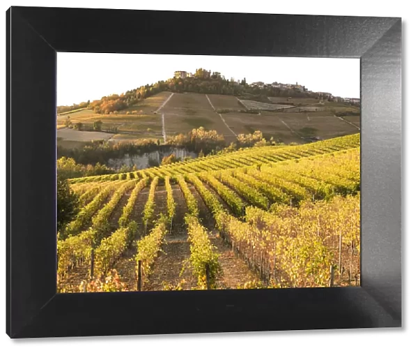Langhe, Piedmont, Italy. Autumn landscape with vineyards and hills