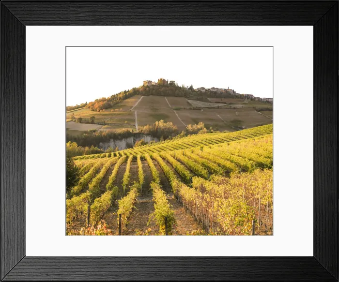 Framed Print : Langhe, Piedmont, Italy. Autumn landscape with vineyards and hills Framed Print : Langhe, Piedmont, Italy. Autumn landscape with vineyards and hills