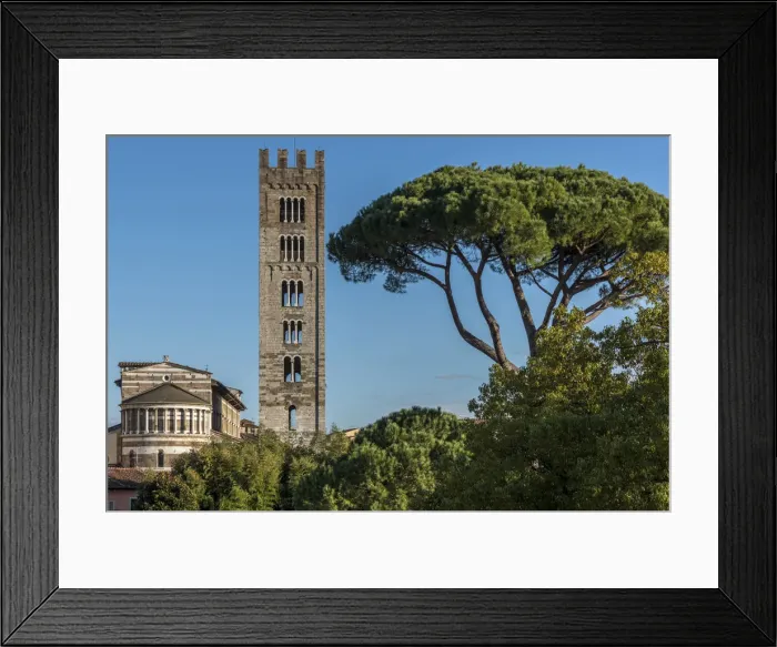 Framed Print : Europe, Italy, Tuscany. Lucca, view towards the cathedral Framed Print : Europe, Italy, Tuscany. Lucca, view towards the cathedral