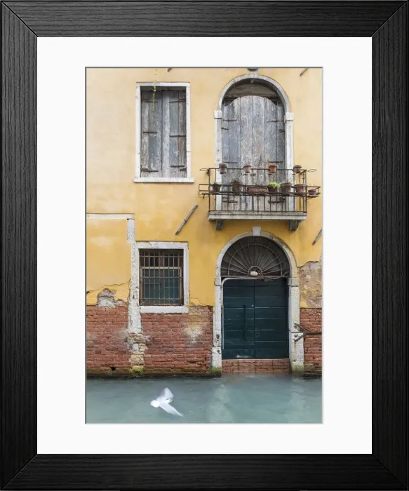 Framed Print : Pigeon flies past old building on canal, Venice, Veneto, Italy