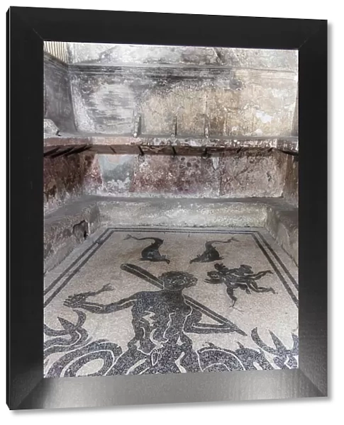 Europe, Italy, Campania. A mosaic on the floor of the old terme