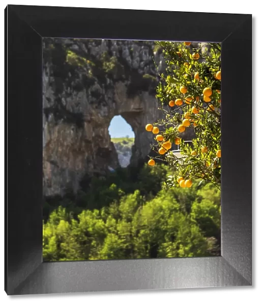 Europe, Italy, Campania. An orange tree in front of a rock with a hole near to Positano