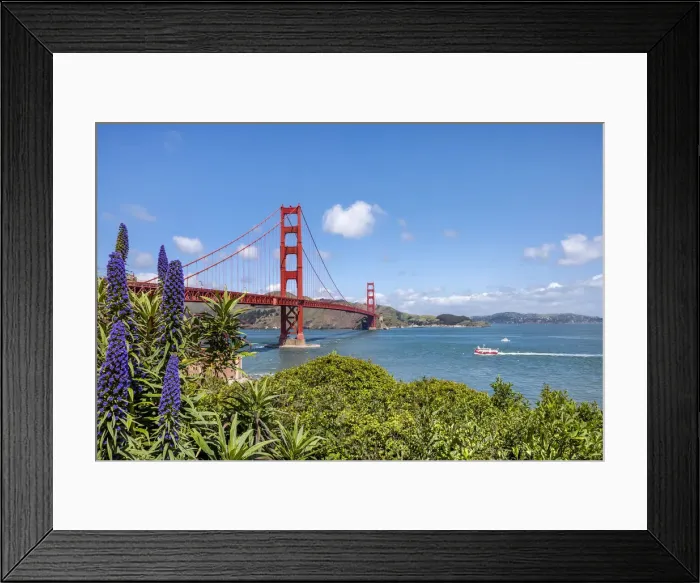 Framed Print : Golden Gate bridge, San Francisco, California, USA Framed Print : Golden Gate bridge, San Francisco, California, USA