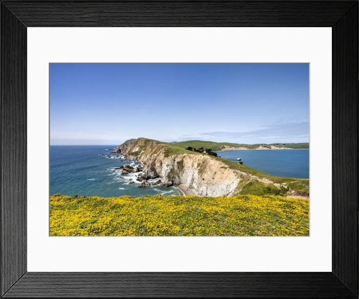Framed Print : Coastline at Chimney Rock, Point Reyes National Seashore, Marin County, California, USA Framed Print : Coastline at Chimney Rock, Point Reyes National Seashore, Marin County, California, USA