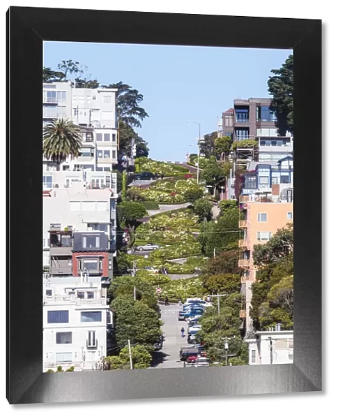 Lombard street, Worlds crookedest street, San Francisco, California, USA