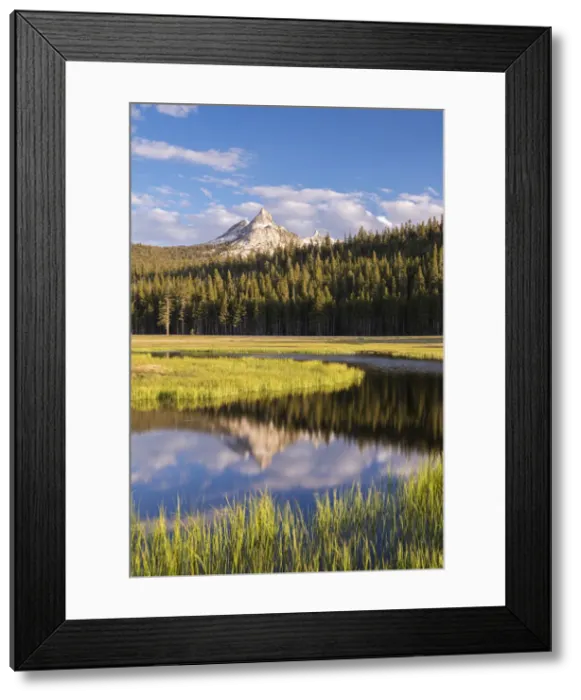 Framed Print : Unicorn Peak reflected in the snow melt pools on Tuolumne Meadows, Yosemite National Park