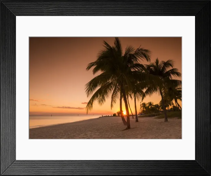 Framed Print : Palm Trees at Sunset, Key West, Florida, USA Framed Print : Palm Trees at Sunset, Key West, Florida, USA