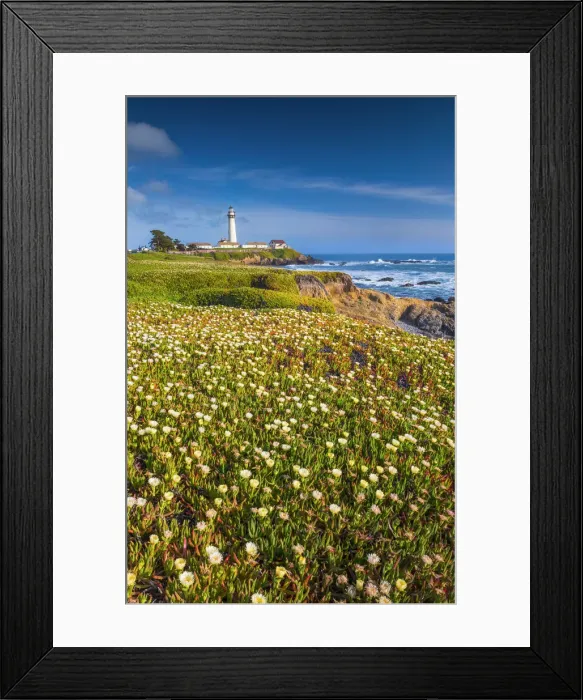 Framed Print : Pigeon Point Lighthouse, near Pescadero, California, USA Framed Print : Pigeon Point Lighthouse, near Pescadero, California, USA