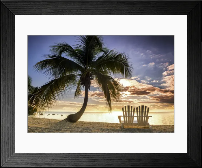 Framed Print : Palm Tree & Love Seat, Islamorada, Florida Keys, USA Framed Print : Palm Tree & Love Seat, Islamorada, Florida Keys, USA