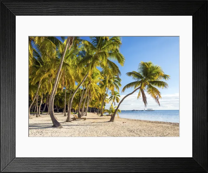 Framed Print : Tropical Beach, Islamorada, Florida Keys, USA Framed Print : Tropical Beach, Islamorada, Florida Keys, USA