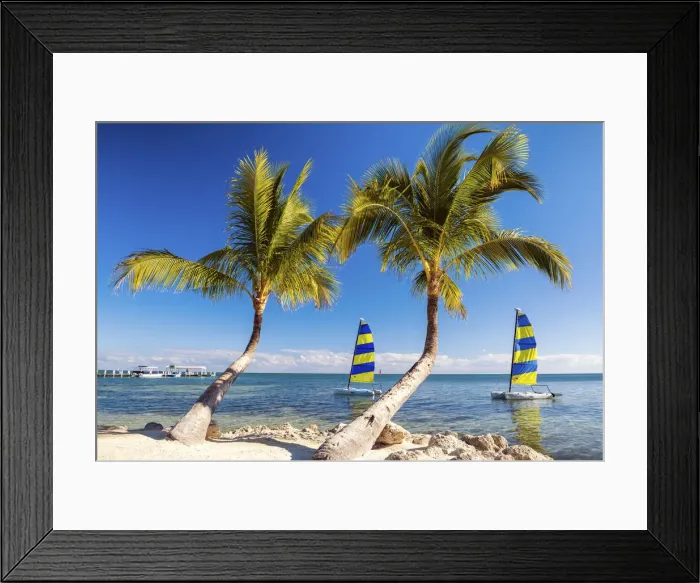 Framed Print : Hobie Cats & Palm Trees, Islamorada, Florida Keys, USA Framed Print : Hobie Cats & Palm Trees, Islamorada, Florida Keys, USA