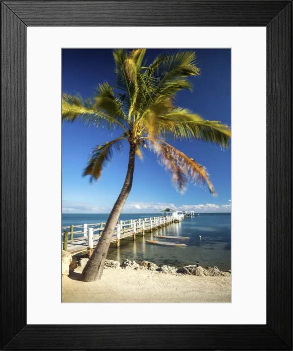 Framed Print : Palm Tree & Jetty, Islamorada, Florida Keys, USA Framed Print : Palm Tree & Jetty, Islamorada, Florida Keys, USA