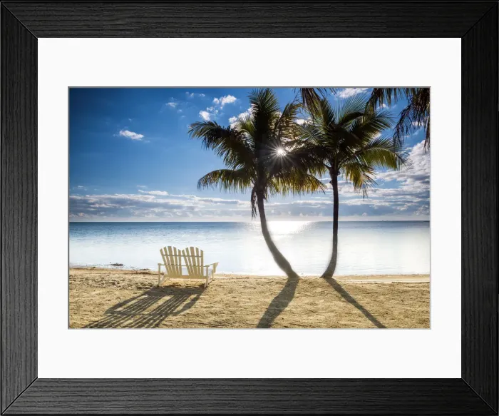 Framed Print : Palm Trees & Love Seat, Islamorada, Florida Keys, USA Framed Print : Palm Trees & Love Seat, Islamorada, Florida Keys, USA