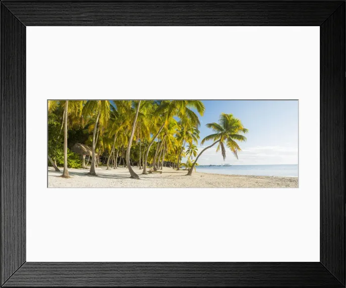Framed Print : Tropical Beach, Islamorada, Florida Keys, USA Framed Print : Tropical Beach, Islamorada, Florida Keys, USA