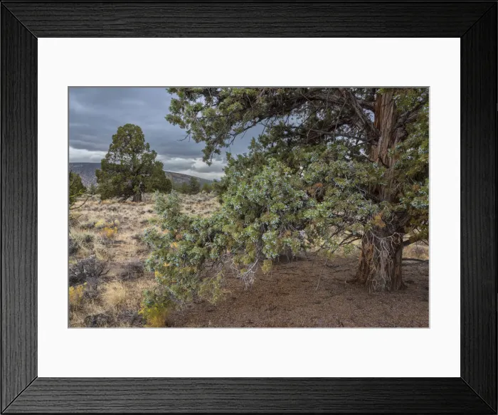 Framed Print : USA, Oregon, Central Oregon, Bend, Badlands landscape Framed Print : USA, Oregon, Central Oregon, Bend, Badlands landscape