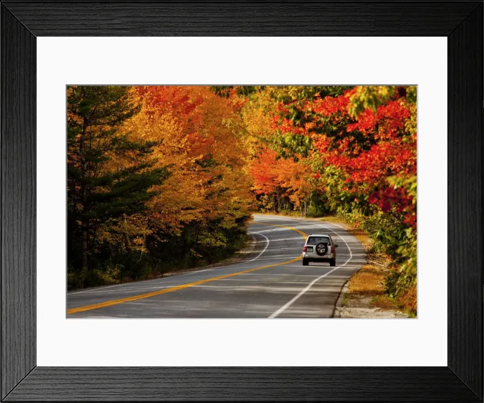 Framed Print : Car on Road in Autumn, Acadia National Park, Maine, USA