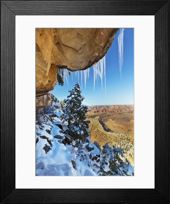 Framed Print : Snow-covered Pine Under the Rim, Grand Canyon National Park, Arizona, USA