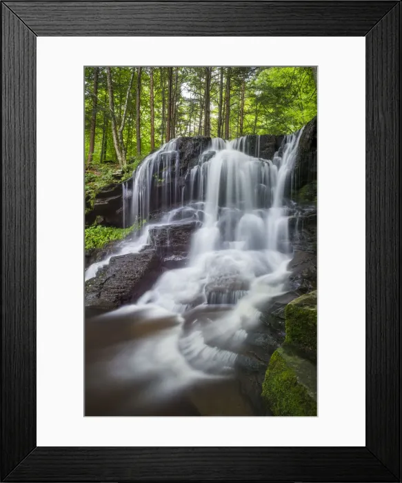Framed Print : Dry Run Falls, Wyoming State Forest, Sullivan County, Pennsylvania, USA Framed Print : Dry Run Falls, Wyoming State Forest, Sullivan County, Pennsylvania, USA