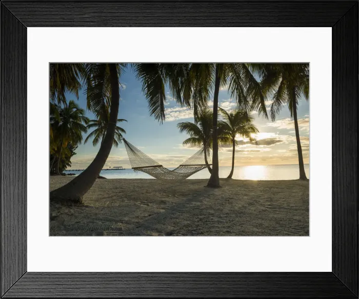 Framed Print : Palm Trees & Hammock, Islamorada, Florida Keys, USA