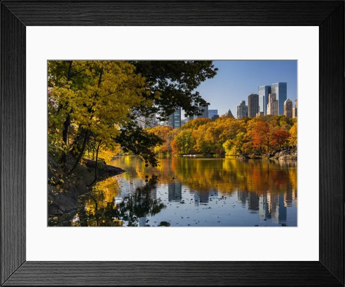 Framed Print : Fall foliage at Central Park, Manhattan, New York, USA Framed Print : Fall foliage at Central Park, Manhattan, New York, USA