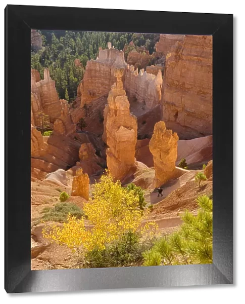 USA, Southwest, Colorado Plateau, Utah, Bryce Canyon, National Park, UNESCO World