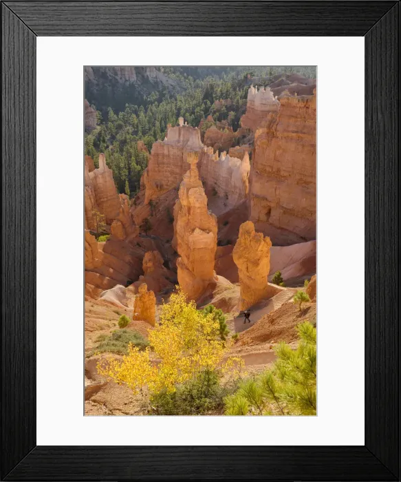 Framed Print : USA, Southwest, Colorado Plateau, Utah, Bryce Canyon, National Park, UNESCO World Framed Print : USA, Southwest, Colorado Plateau, Utah, Bryce Canyon, National Park, UNESCO World