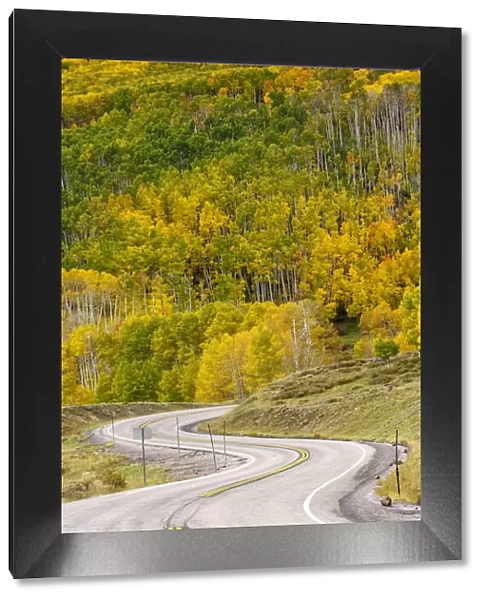 USA, Southwest, Colorado Plateau, Utah, Boulder, Dixie National forest in autumn near