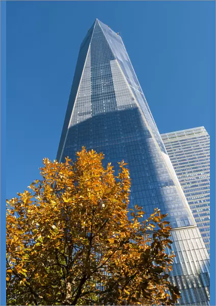 Low angle view of the One World Trade Center or Freedom Tower, Lower Manhattan, New York