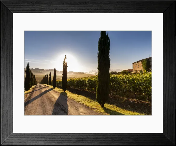 Framed Print : Italy, Marche. Macerata district. Urbisglia. Typical Marche landscape near Urbisaglia Framed Print : Italy, Marche. Macerata district. Urbisglia. Typical Marche landscape near Urbisaglia