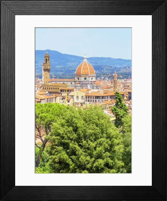 Framed Print : Vew of Cathedral of Saint Mary of the Flower and Palazzo Vecchio from Bardini gardens Framed Print : Vew of Cathedral of Saint Mary of the Flower and Palazzo Vecchio from Bardini gardens