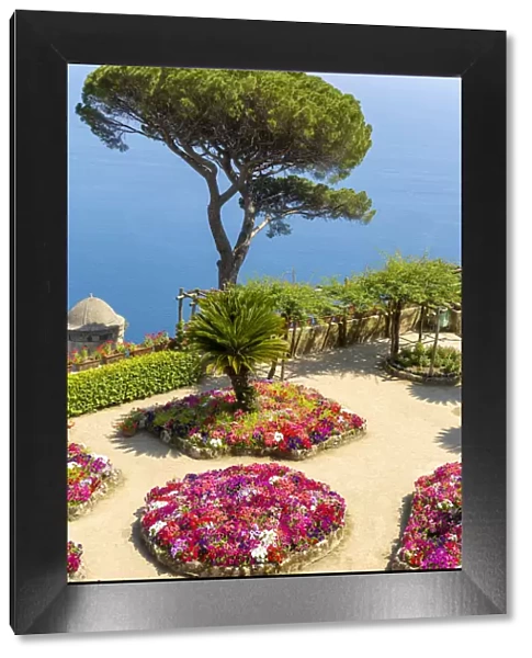 flowers and tree in a terrace over the sea, Villa Rufolo, Ravello, Amalfi Coast, Italy