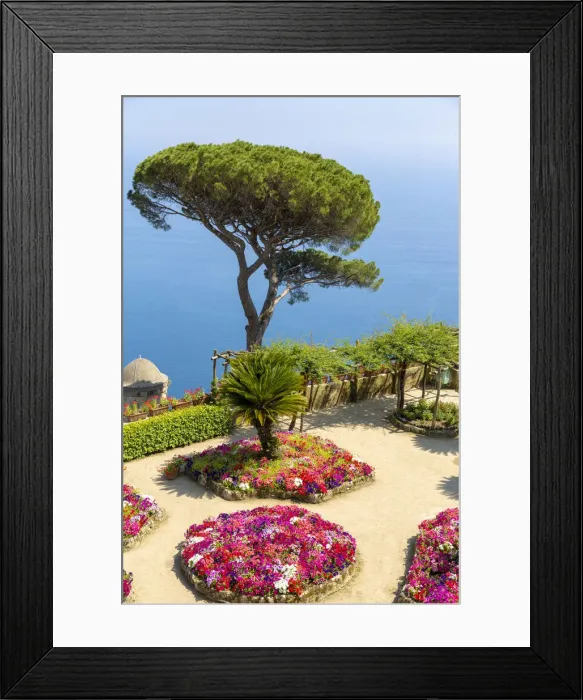 Framed Print : flowers and tree in a terrace over the sea, Villa Rufolo, Ravello, Amalfi Coast, Italy