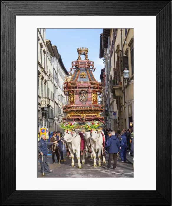 Framed Print : Ox cart, Explosion of the Cart festival, Florence, Tuscany, Italy, Europe Framed Print : Ox cart, Explosion of the Cart festival, Florence, Tuscany, Italy, Europe