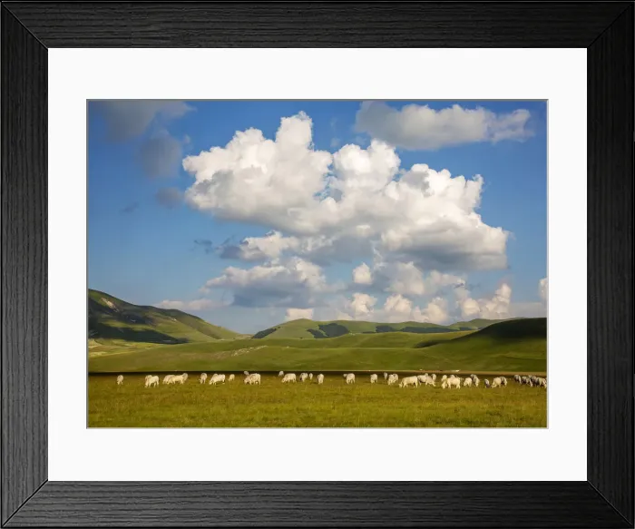 Framed Print : Wild pasture in Castelluccio di Norcia, Umbria, Italy Framed Print : Wild pasture in Castelluccio di Norcia, Umbria, Italy