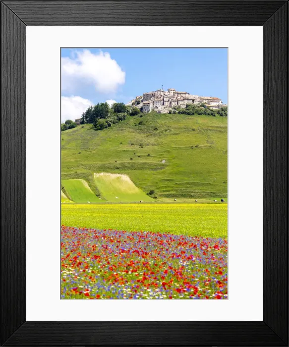 Framed Print : Flower field and town, Castelluccio di Norcia, Umbria, Italy