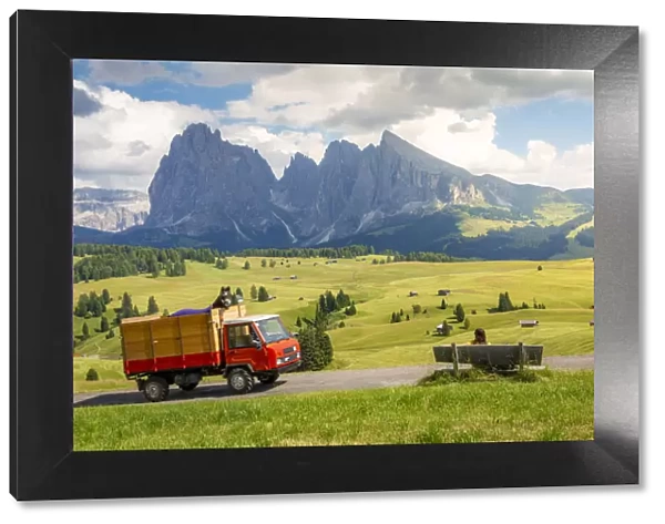 Siusi, Dolomites Alps, Italy. bench with tourist and horse on a truck, sunny summer day