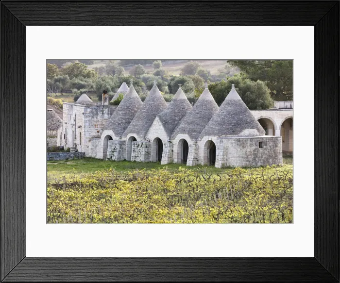 Framed Print : Italy, Apulia (Puglia), Bari district, Itria Valley, traditional trulli surrounded Framed Print : Italy, Apulia (Puglia), Bari district, Itria Valley, traditional trulli surrounded