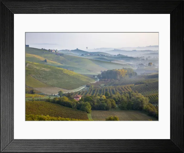 Framed Print : Italy, Piedmont (Piemonte), Cuneo District, Langhe, hot air balloons fly over valley Framed Print : Italy, Piedmont (Piemonte), Cuneo District, Langhe, hot air balloons fly over valley