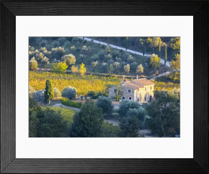 Framed Print : Italy, Tuscany, Province of Siena, Montalcino, Stone farmhouse surrounded by vines