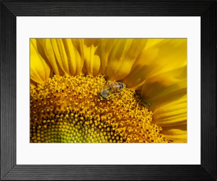 Framed Print : Italy, Marche. Macerata district. Corridonia Framed Print : Italy, Marche. Macerata district. Corridonia