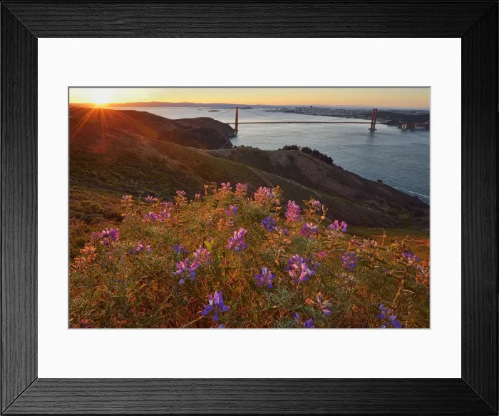 Framed Print : Golden Gate Bridge at sunrise, San Francisco, California, USA Framed Print : Golden Gate Bridge at sunrise, San Francisco, California, USA