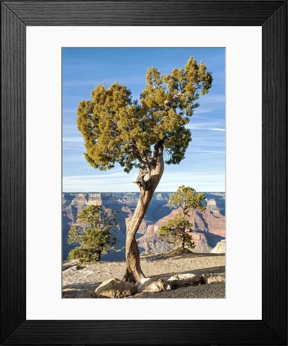 Framed Print : United States of America, Arizona, Grand Canyon, South Rim Framed Print : United States of America, Arizona, Grand Canyon, South Rim