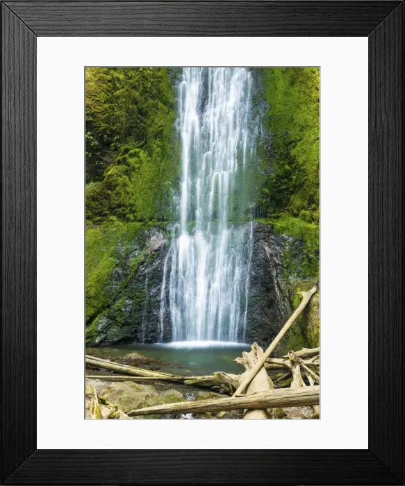 Framed Print : Marymere Falls, Olympic National Park, Washington, USA Framed Print : Marymere Falls, Olympic National Park, Washington, USA