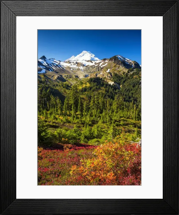 Framed Print : Mt. Baker in Autumn, Mt. Baker-Snoqualmie National Forest, Washington, USA Framed Print : Mt. Baker in Autumn, Mt. Baker-Snoqualmie National Forest, Washington, USA