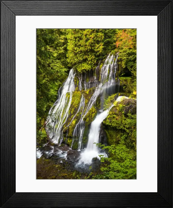 Framed Print : Panther Creek Falls, Gifford Pinchot National Forest, Washington, USA Framed Print : Panther Creek Falls, Gifford Pinchot National Forest, Washington, USA