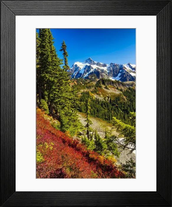 Framed Print : Mt. Shuksan in Autumn, Mt. Baker-Snoqualmie National Forest, Washington, USA Framed Print : Mt. Shuksan in Autumn, Mt. Baker-Snoqualmie National Forest, Washington, USA